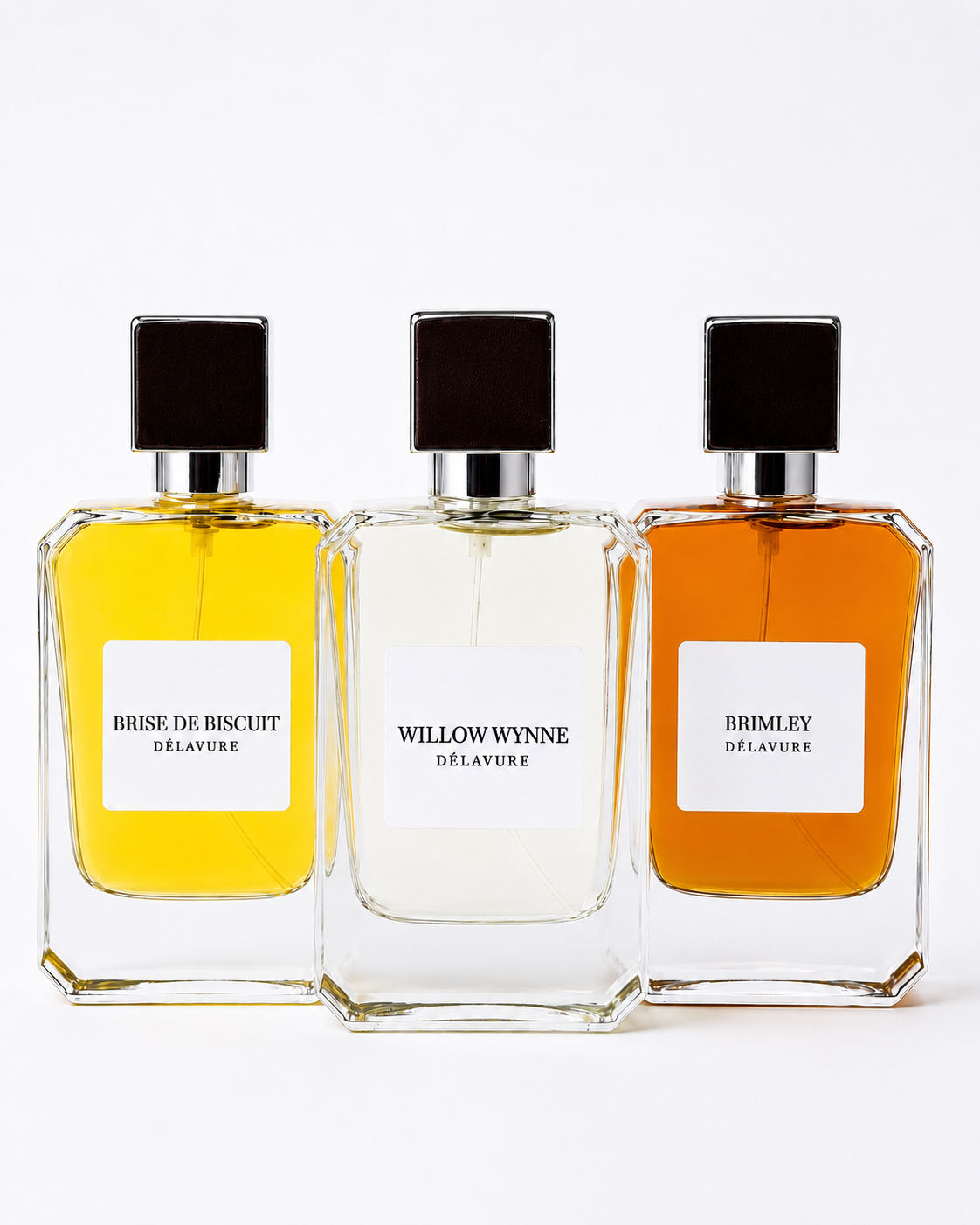 Collection No. 01